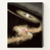 Carnet Deux Exoplanètes Géantes De Gaz Orbitant Une Jeune (Dos)