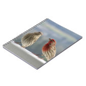 Carnet Deux Finches Flirtent. (Côté gauche)