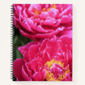 Carnet Deux Fuchsia Peony Fleurit Peinture (Devant)