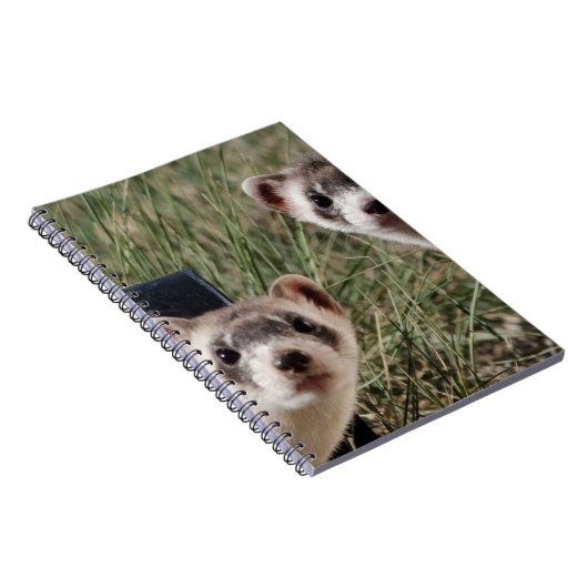 Carnet Deux furets (Côté Droit)