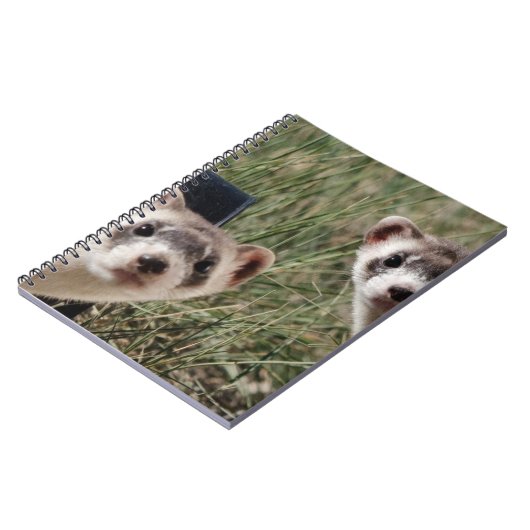 Carnet Deux furets (Côté gauche)