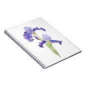 Carnet deux iris violets encre et aquarelle (Côté Droit)