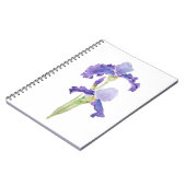 Carnet deux iris violets encre et aquarelle (Côté gauche)