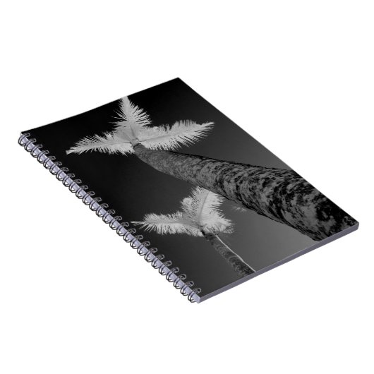 Carnet Deux palmiers infrarouges. (Côté Droit)