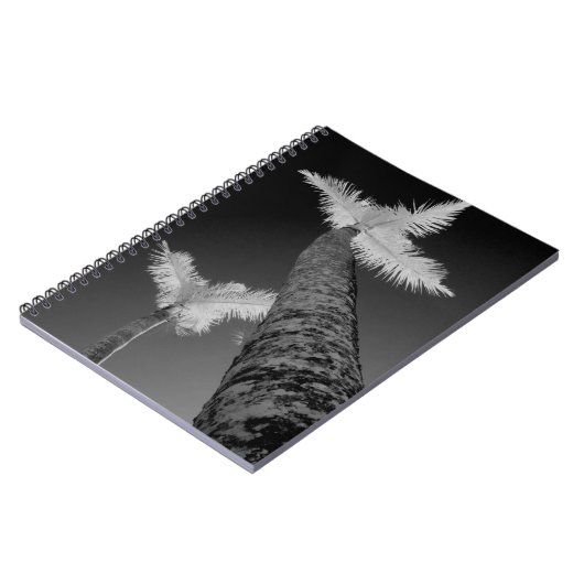 Carnet Deux palmiers infrarouges. (Côté gauche)