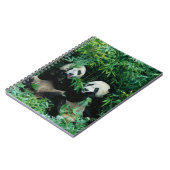 Carnet Deux pandas mangeant du bambou ensemble, Wolong (Côté gauche)