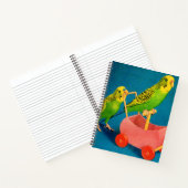 Carnet deux perroquets (Intérieur)