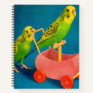 Carnet deux perroquets
