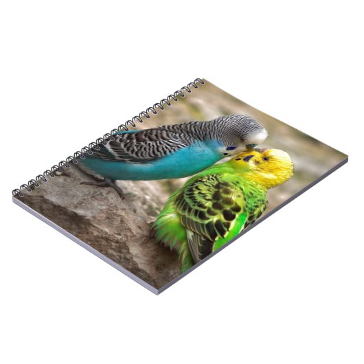 Carnet Deux perruches (Côté gauche)