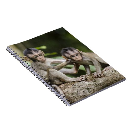 Carnet Deux petits singes (Côté Droit)