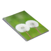 Carnet Deux pissenions (Côté Droit)