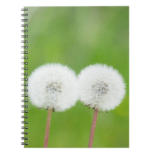 Carnet Deux pissenions (Devant)