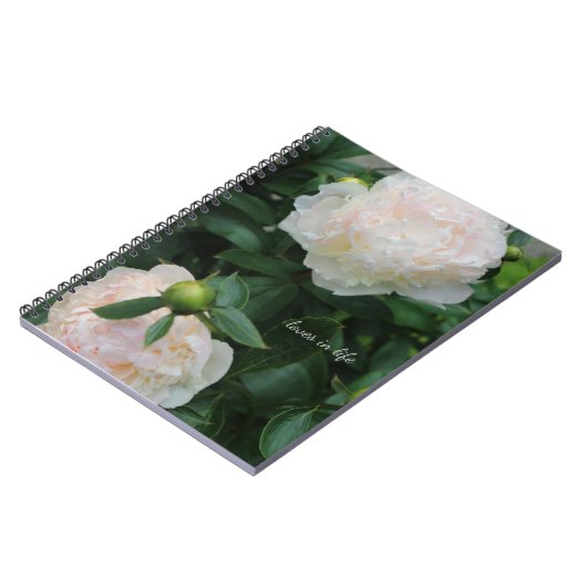 Carnet Deux pivoines blanches (Côté gauche)