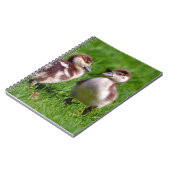 Carnet Deux poussins d'oies égyptiennes (Côté gauche)