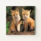 Carnet Deux renardeaux rouges devant leur tanière (Dos)