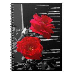 CARNET DEUX ROSES ROUGES