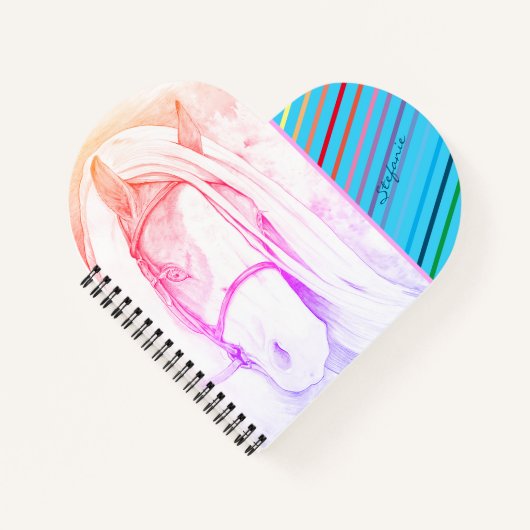 Carnet Deux tons (arc-en-ciel) (Devant)