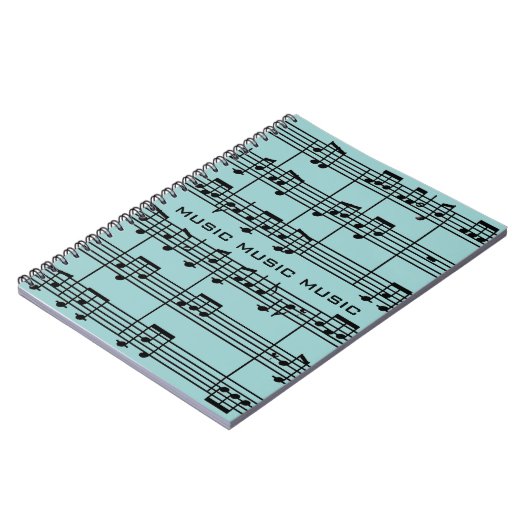 Carnet d'évaluation musicale (Côté gauche)