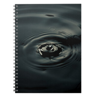 CARNET DÉVERSEMENT D'EAU DANS L'EAU