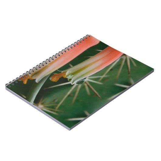 Carnet Dew sur Aloe Bloom (Côté gauche)