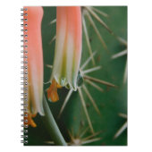 Carnet Dew sur Aloe Bloom (Devant)