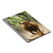 Carnet Dharma (Côté Droit)