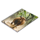 Carnet Dharma (Côté gauche)