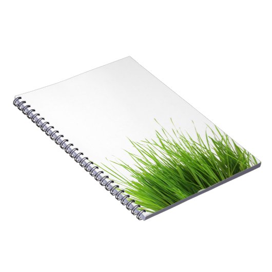 Carnet d'herbe (Côté Droit)