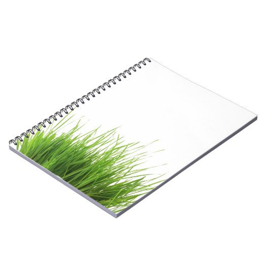 Carnet d'herbe (Côté gauche)