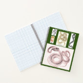 Carnet d'herpétologie (Intérieur)