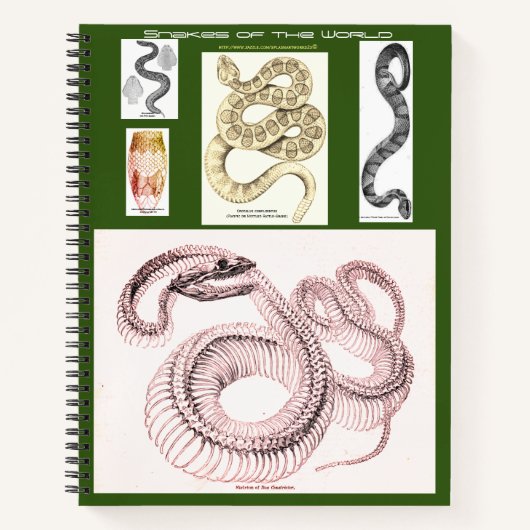 Carnet d'herpétologie (Devant)