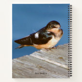 Carnet d'hirondelle de grange (Dos)