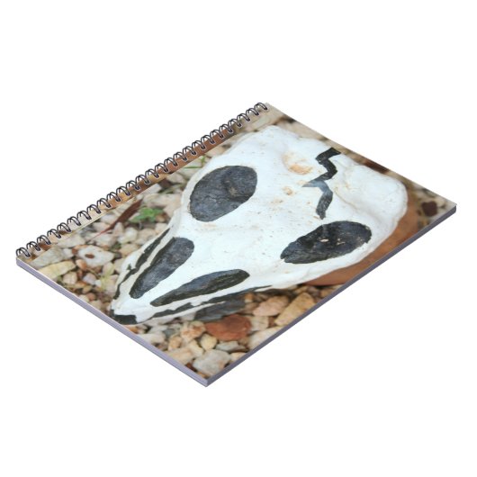 Carnet Dia de Muertos crâne peint (Côté gauche)