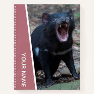 Carnet Diable de Tasmanie, Tasmanie, Australie, Or rose