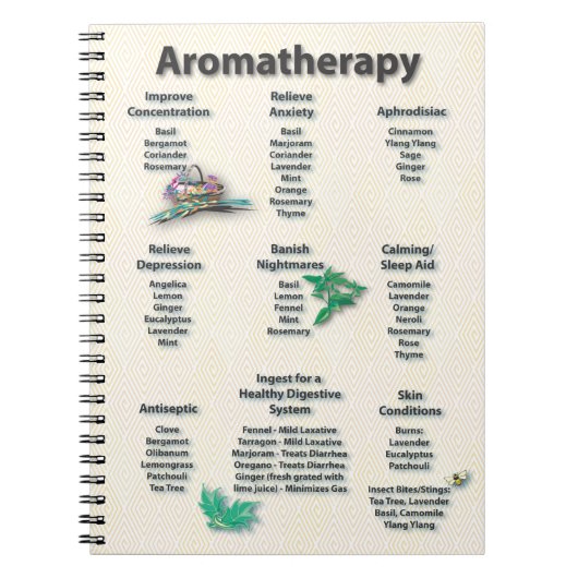Carnet Diagramme de référence rapide d'aromathérapie (Devant)