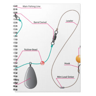 Carnet Diagramme d'installation de Boilie pour la pêche