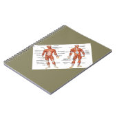 Carnet Diagrammes musculaires cadeaux101 (Côté gauche)