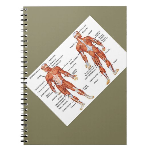 Carnet Diagrammes musculaires cadeaux101 (Devant)