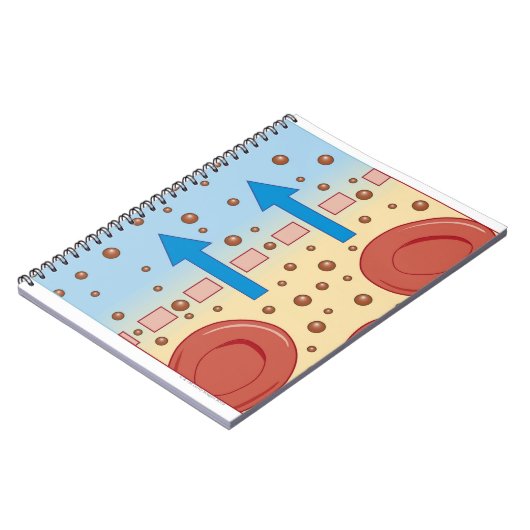 Carnet Dialyse rénale (Côté gauche)