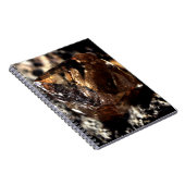Carnet Diamant, Fumé (Côté Droit)