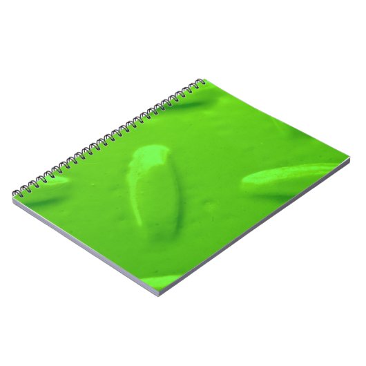 Carnet Diamondplate verte (Côté gauche)