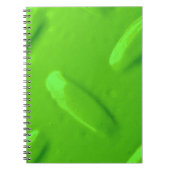 Carnet Diamondplate verte (Devant)