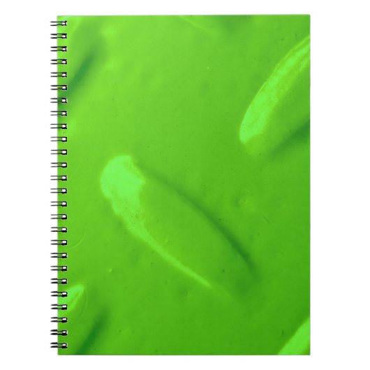Carnet Diamondplate verte (Devant)