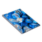 Carnet Diemudis (Côté Droit)