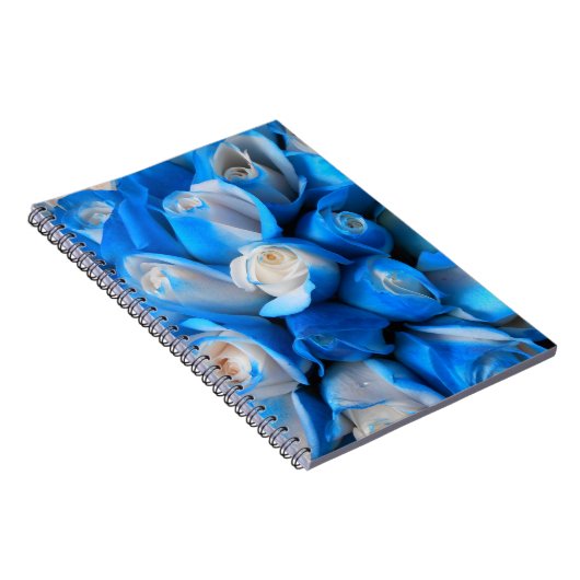 Carnet Diemudis (Côté Droit)