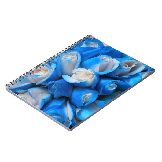 Carnet Diemudis (Côté gauche)