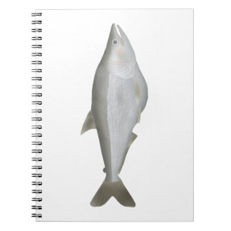 Carnet Dientudo