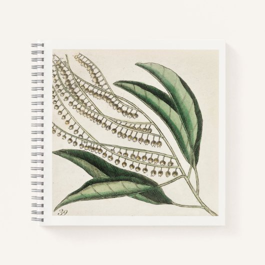Carnet d'illustration botanique d'art du 18e siècl (Devant)