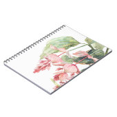 Carnet d'illustration de l'aquarelle de Medinilla (Côté gauche)