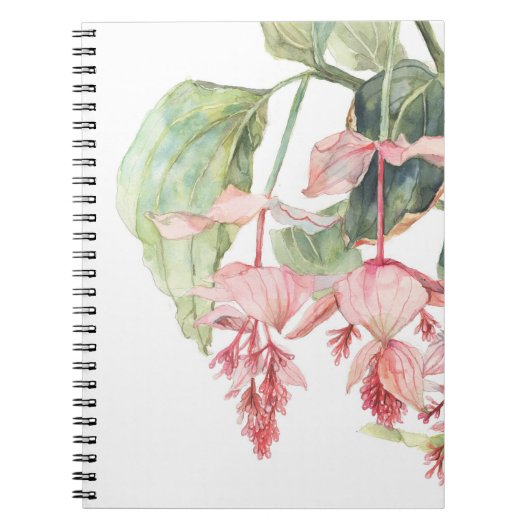 Carnet d'illustration de l'aquarelle de Medinilla (Devant)